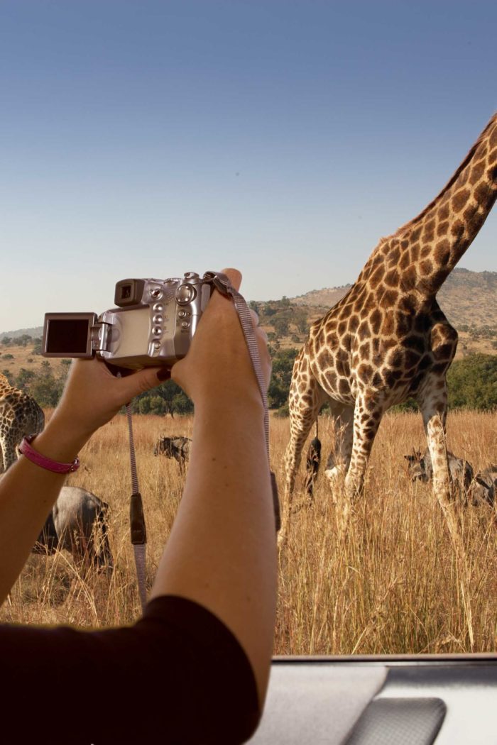 Step Inside South Africa At The New York Times Travel Show