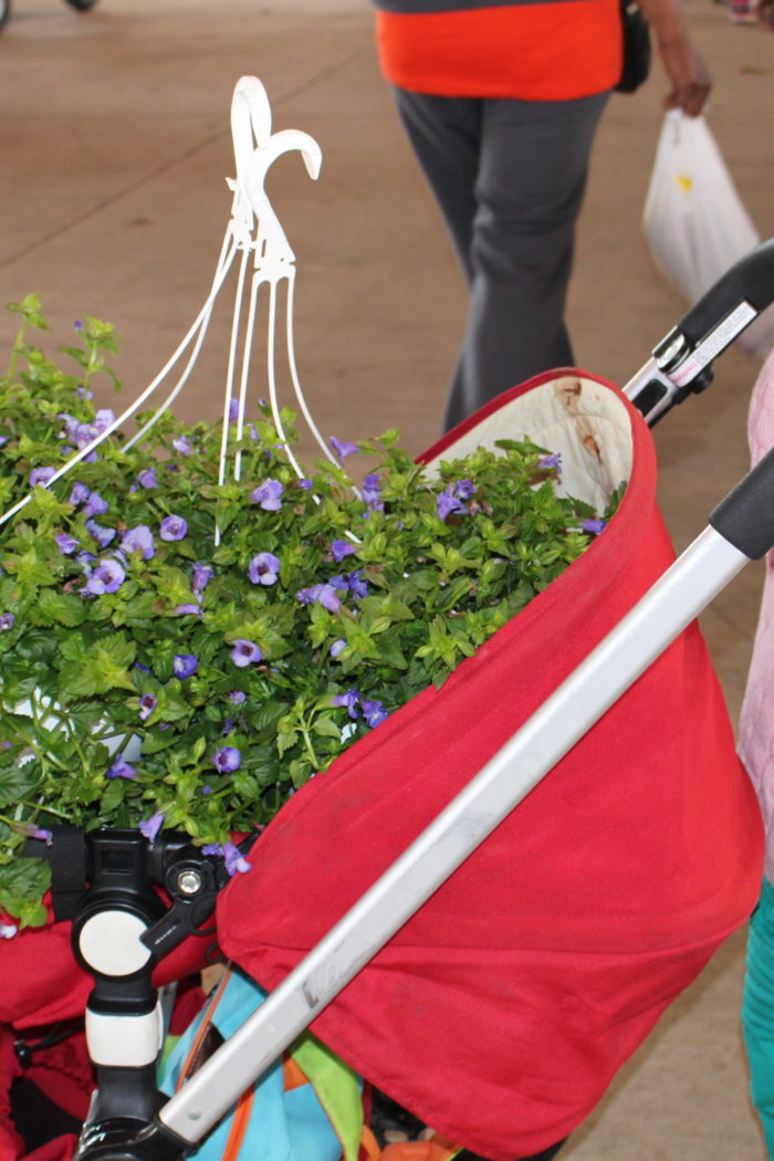 Flower Day draws thousands to Eastern Market in Detroit