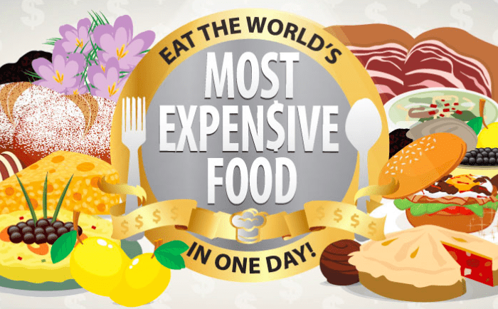 All Around The World In Food:  World’s Most Expensive Food In A Day