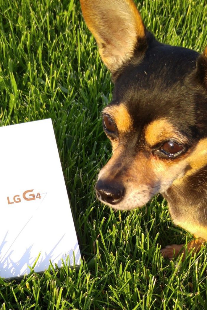 Four Amazing LG G4 Features For Selfie Lovers Everywhere